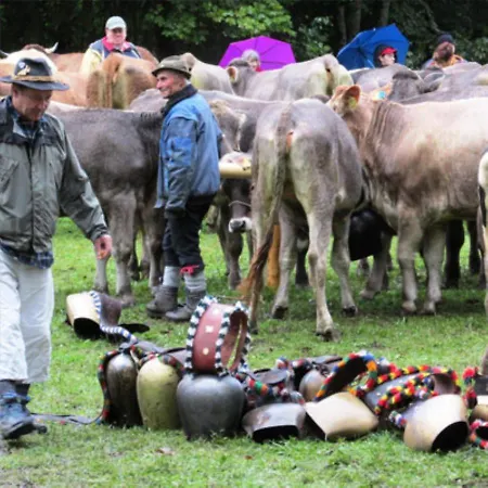 App Steenbok 516 Kleinwalsertal Apartment Mittelberg