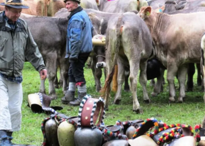 App Steenbok 516 Kleinwalsertal Apartment Mittelberg